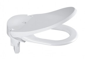 CONJUNTO TAPA y ASIENTO SENSIA ARENA GROHE